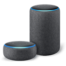 Alexa Voice Integration for iAquaLink