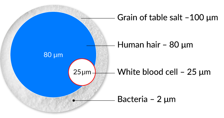 comparison of contaminants image