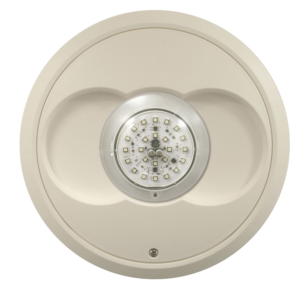 Nicheless LED Lights Jandy Pro Series