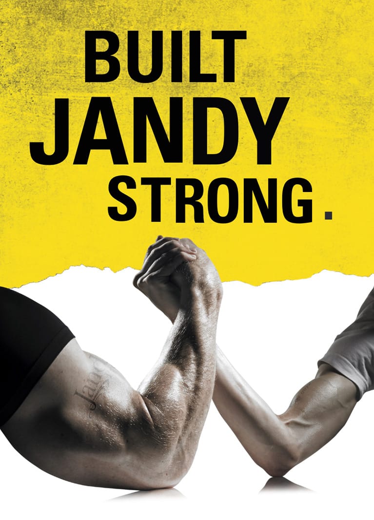 Built Jandy Strong Pro Series Built Jandy Strong